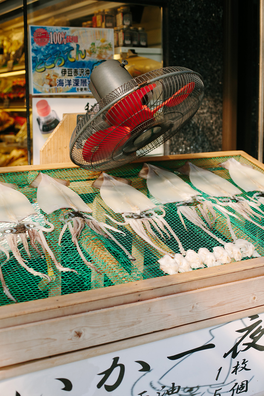 Drying Squid in Hakone