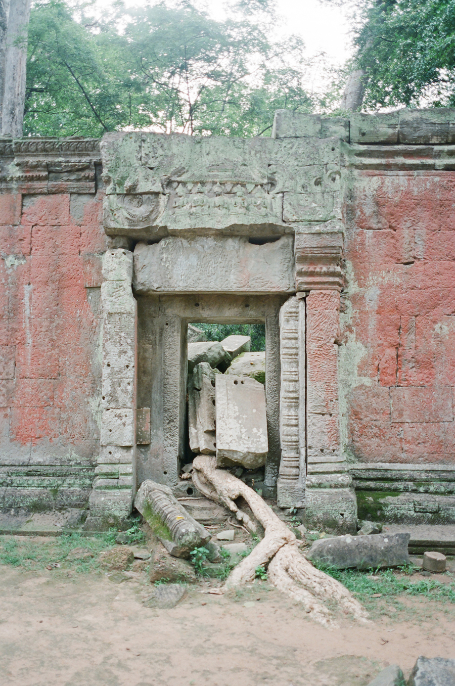 Ruins at Ta Prohm Cambodia