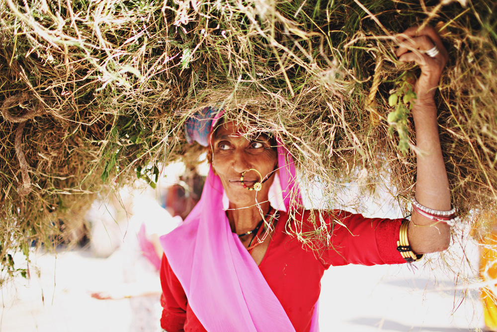 Woman Carrying Brush in Udaipur