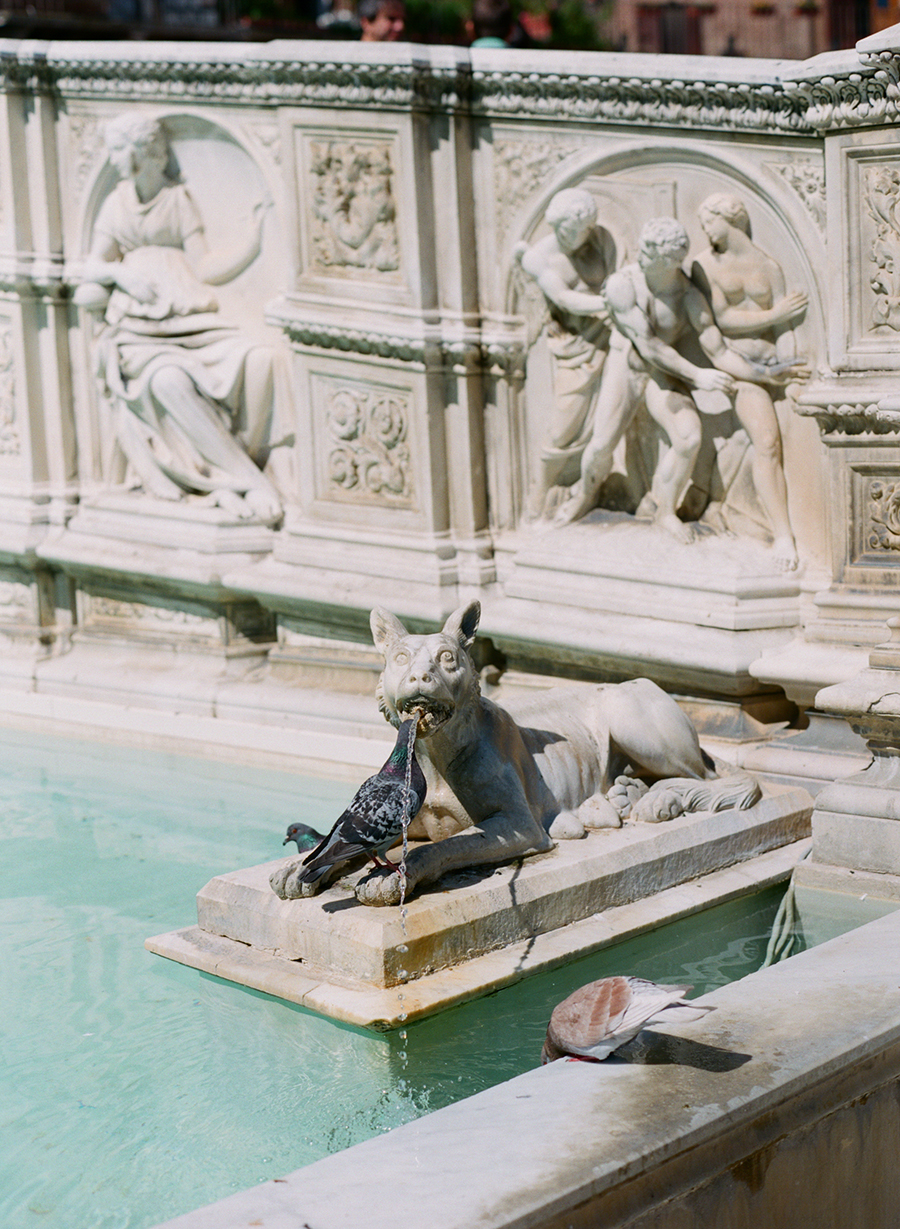 Pool Fountain in Siena