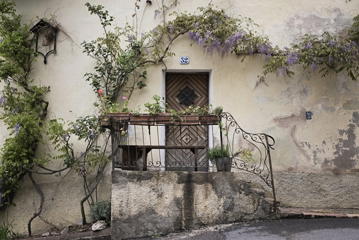 Front Door Wisteria in Bolzano Italy