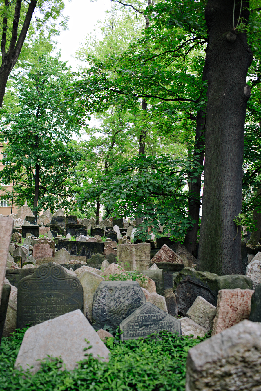 Prague Jewish Quarter Old Cemetery
