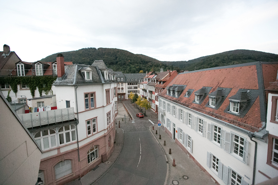 Overlooking Heidelberg Germany