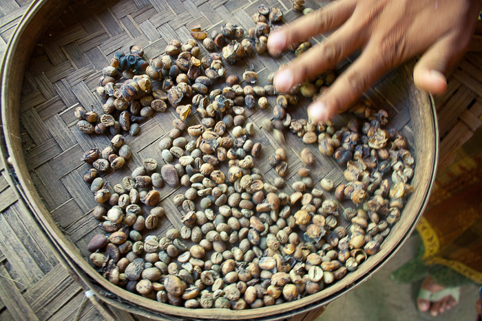 Coffee Beans at Bali Pulina in Ubud