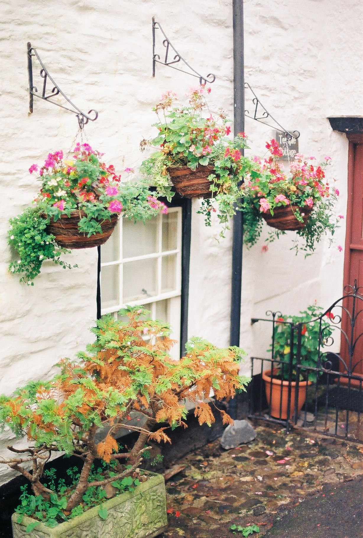 Hanging Baskets in Port Isaac England