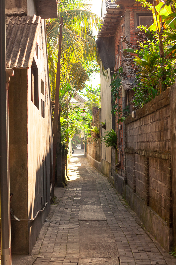 Narrow Alley in Ubud Bali