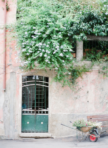 Monterosso Door
