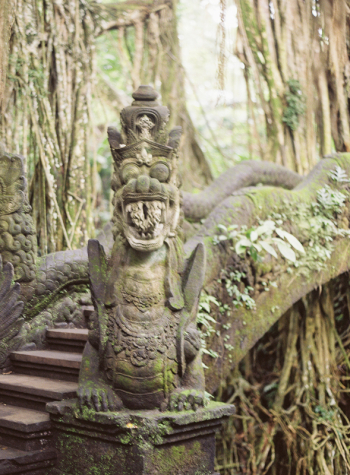 Bali Monkey Forest