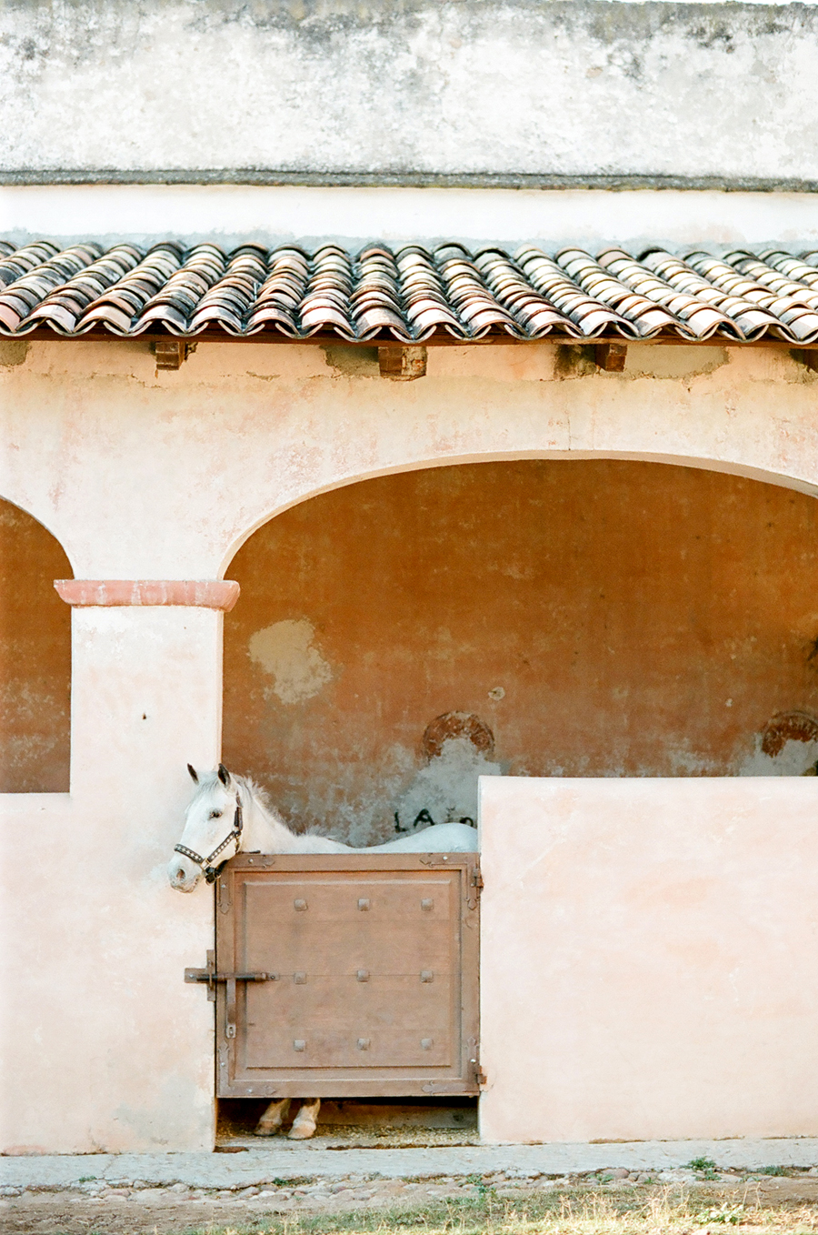 Hacienda las Trancas Stables