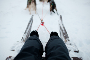 Sledding in Iceland