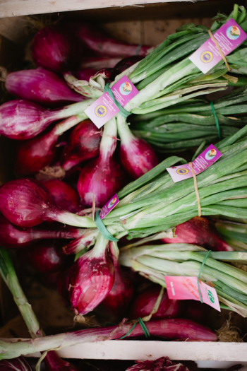 Fresh Produce in Tuscany