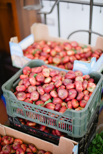 Fresh Produce in Tuscany