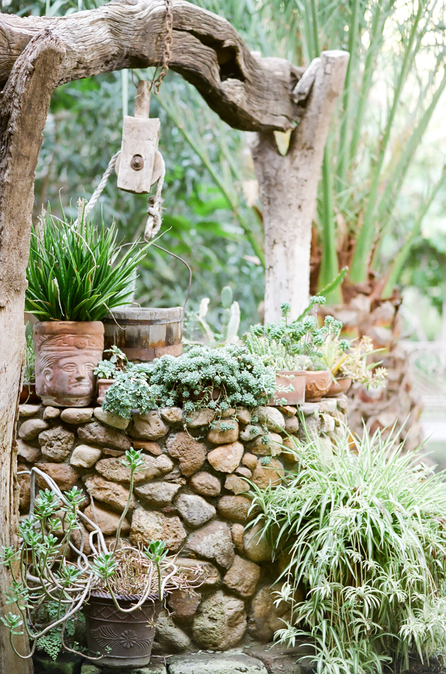 Well at Hacienda las Trancas