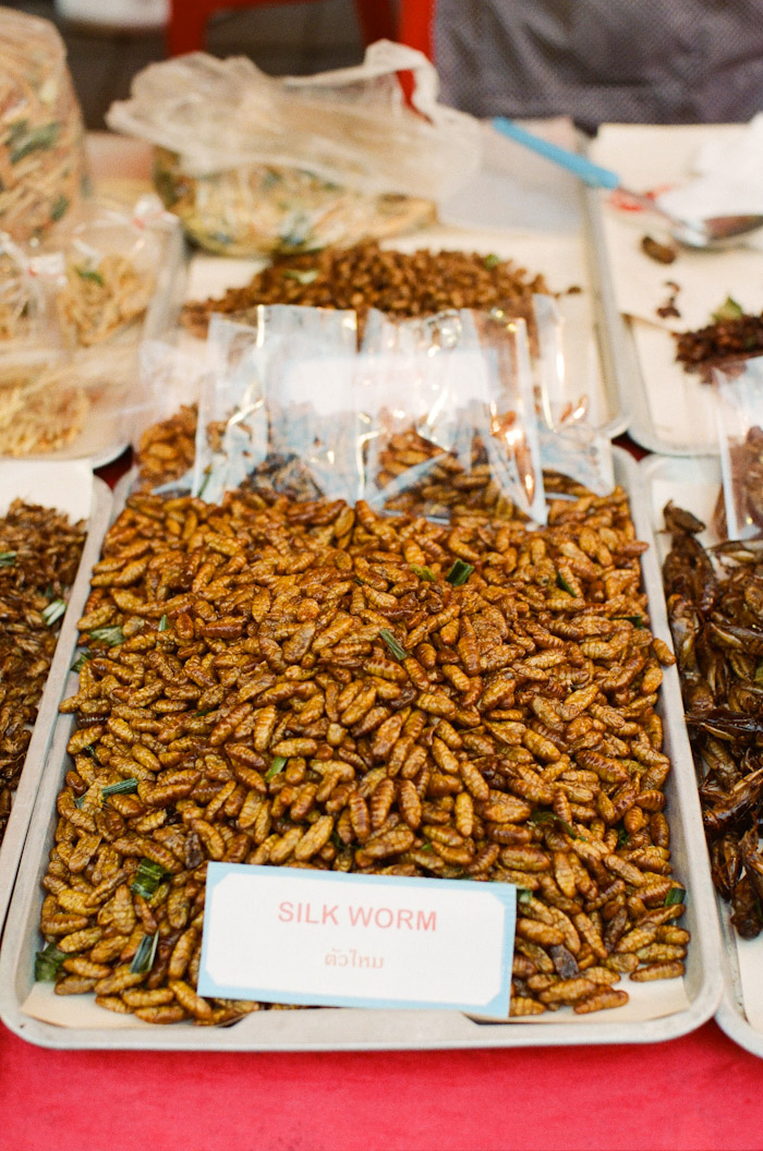 Deep Fried Bugs Thailand