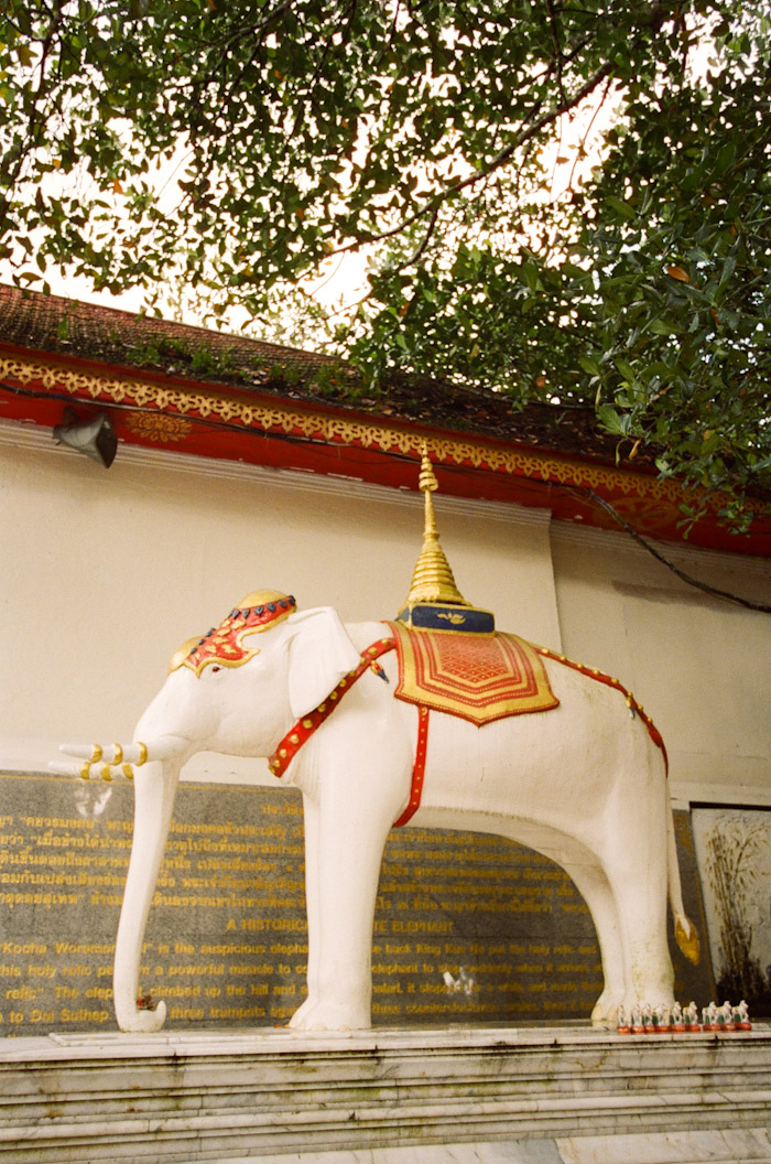 White Elephant Shrine Doi Suthep Temple
