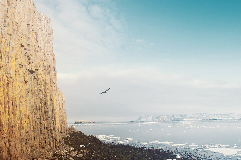 Black Beach Iceland Black Beach Iceland