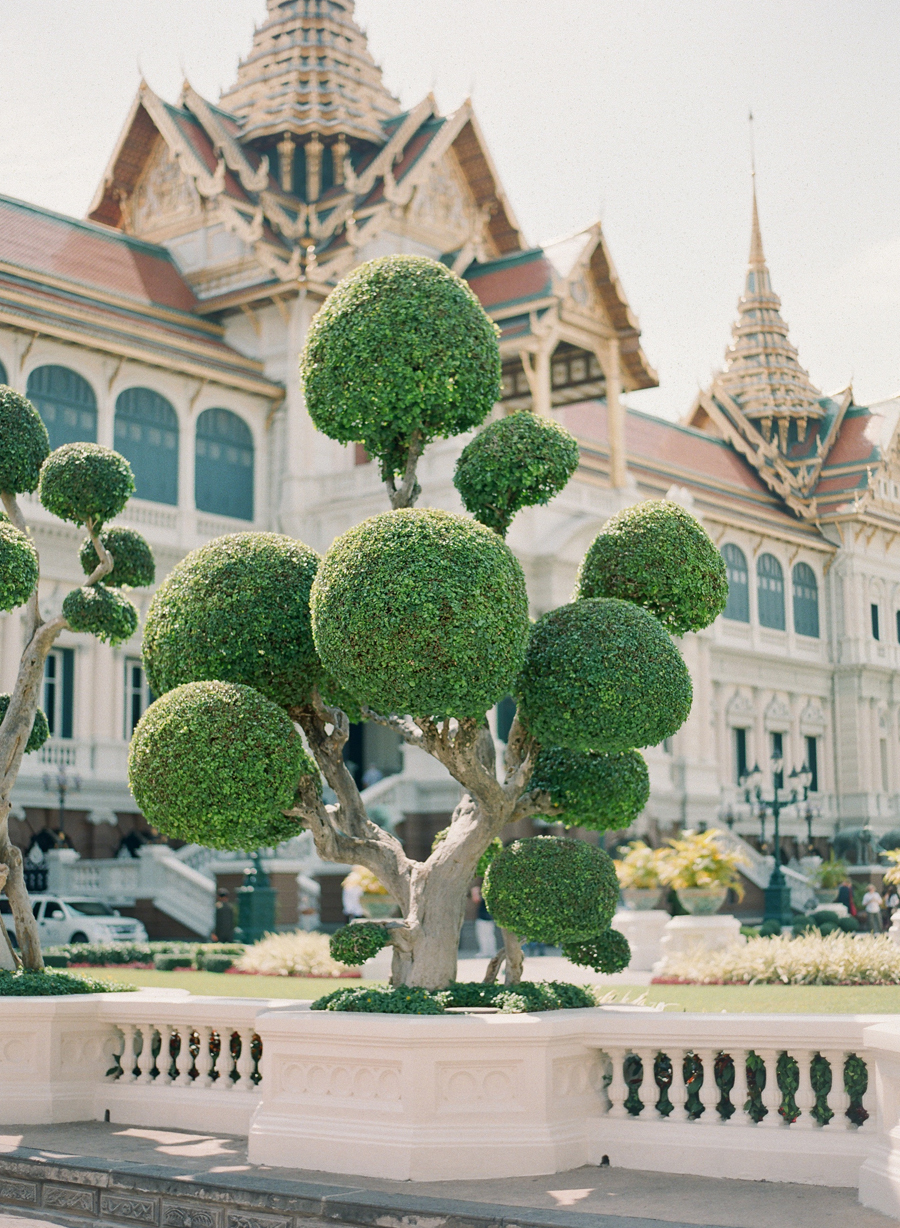 Bonsai Tree at Grand Palace Bangkok