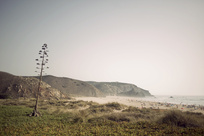 Carrapateira Cliffs