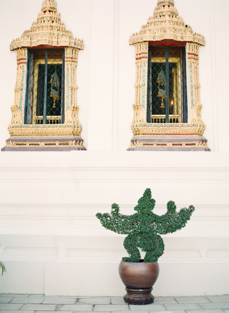 Detailed Shrubbery at Grand Palace Gardens