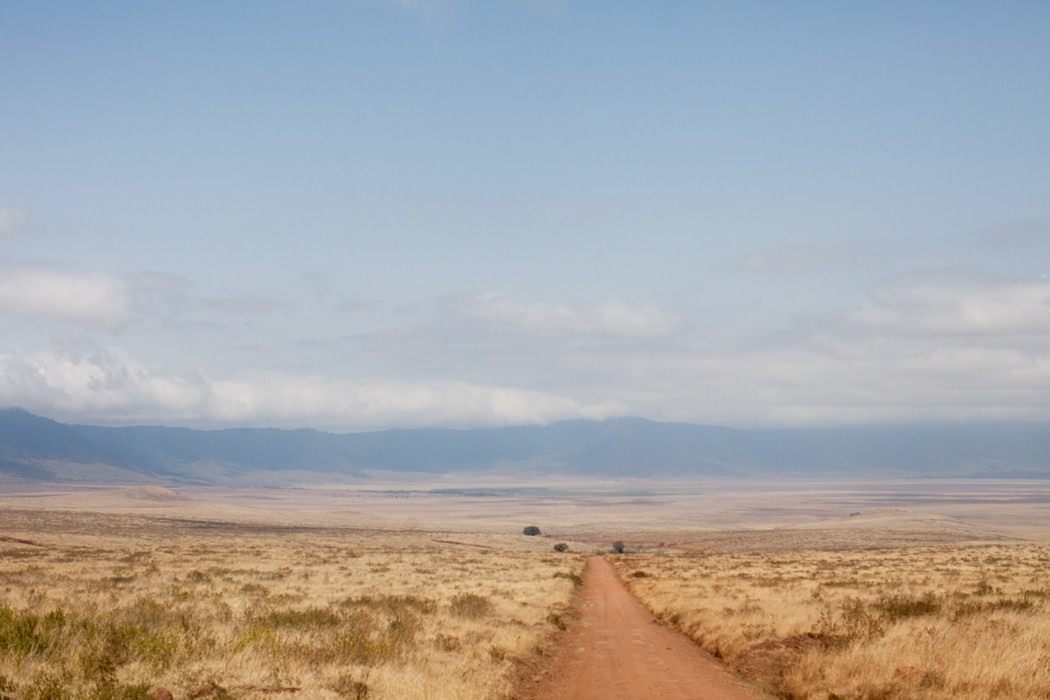 Driving into Ngorongoro Crater