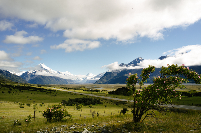 Mt Cook National Park Landscape