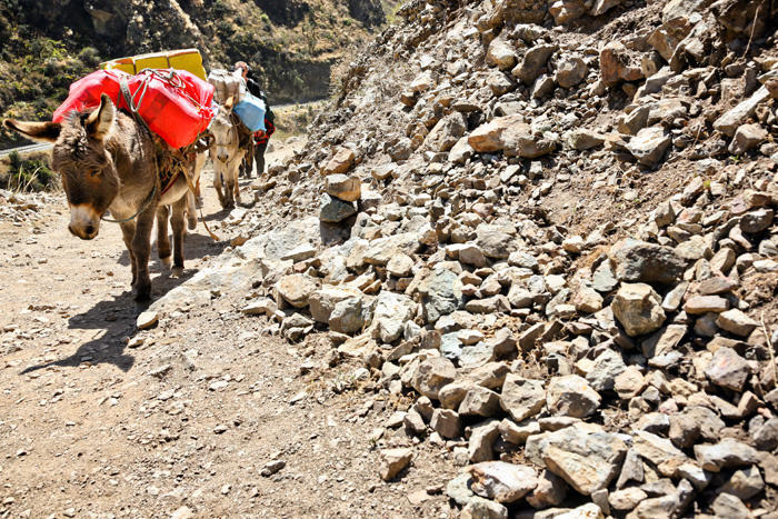 Mule Inca Trail