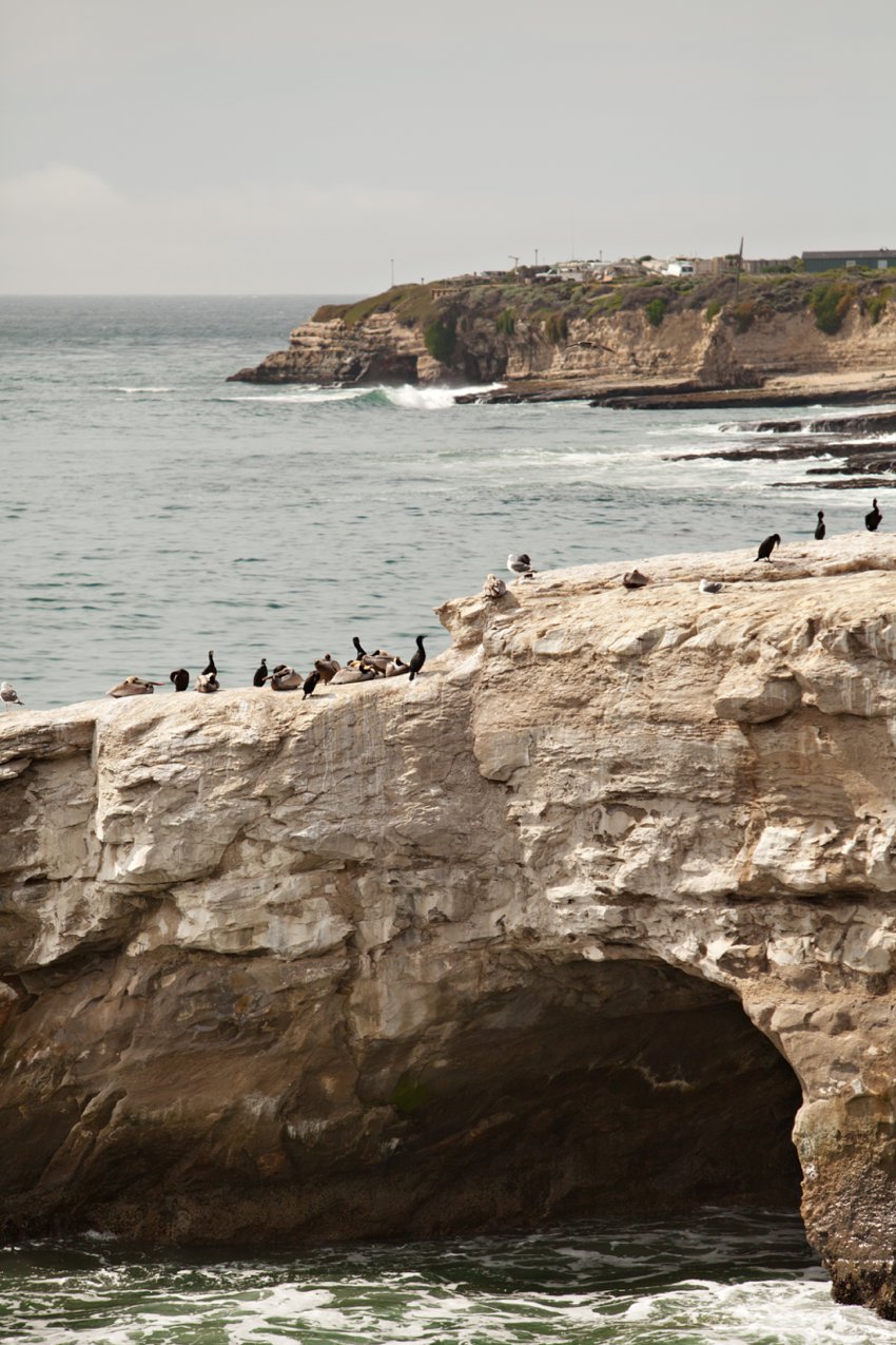 Santa Cruz Rocks Sea Lion Rock Santa Cruz - Entouriste
