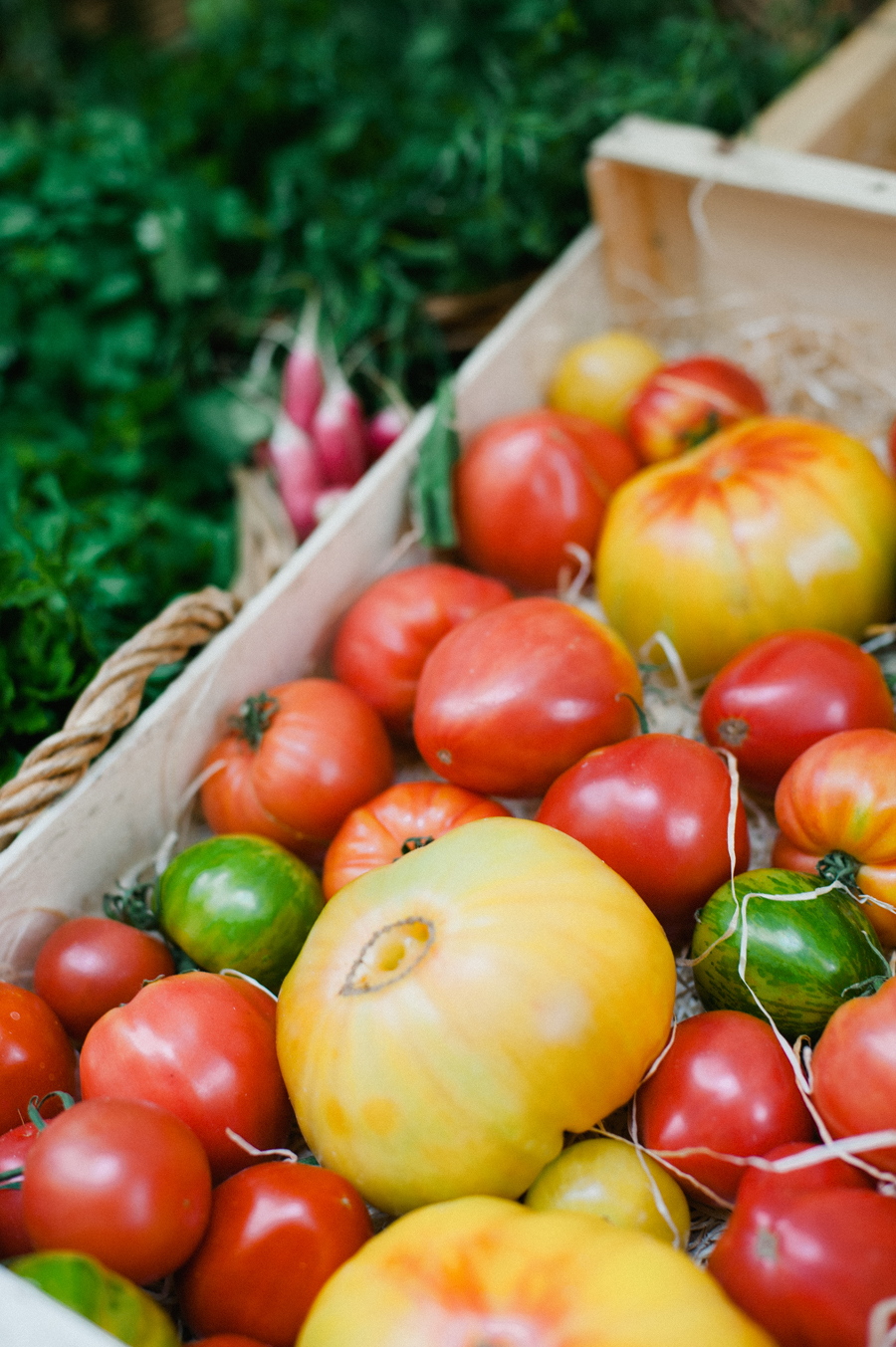 Tomatos Marche Raspail