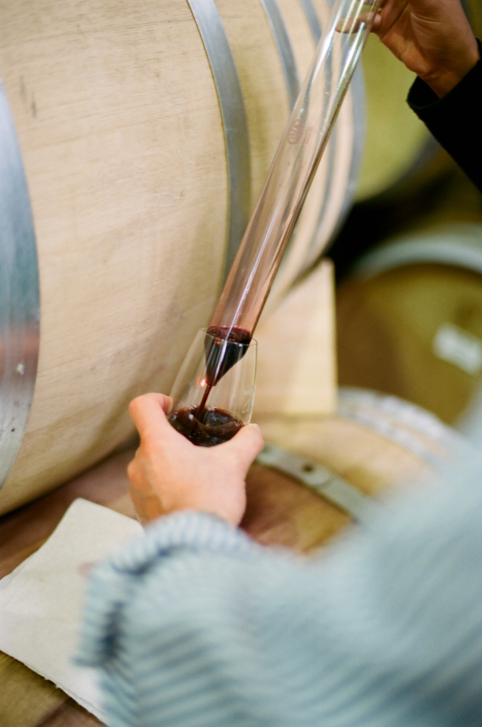 Wine Argentina Wine Argentina