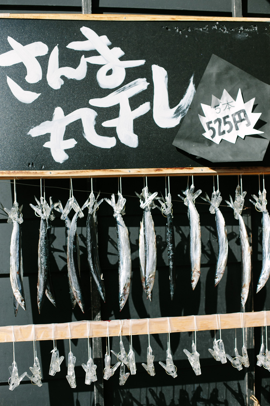Dried Fish in Hakone
