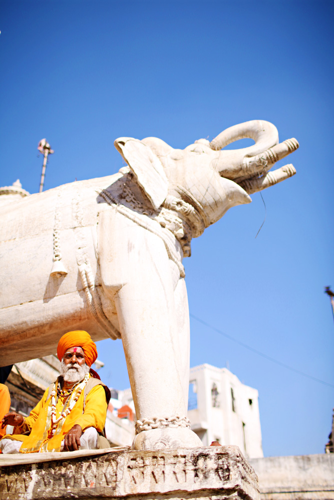 Elephant Statue in Udaipur