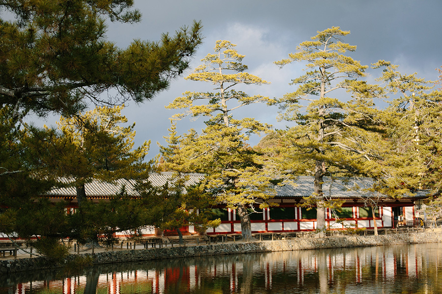 Lake at City Park of Nara