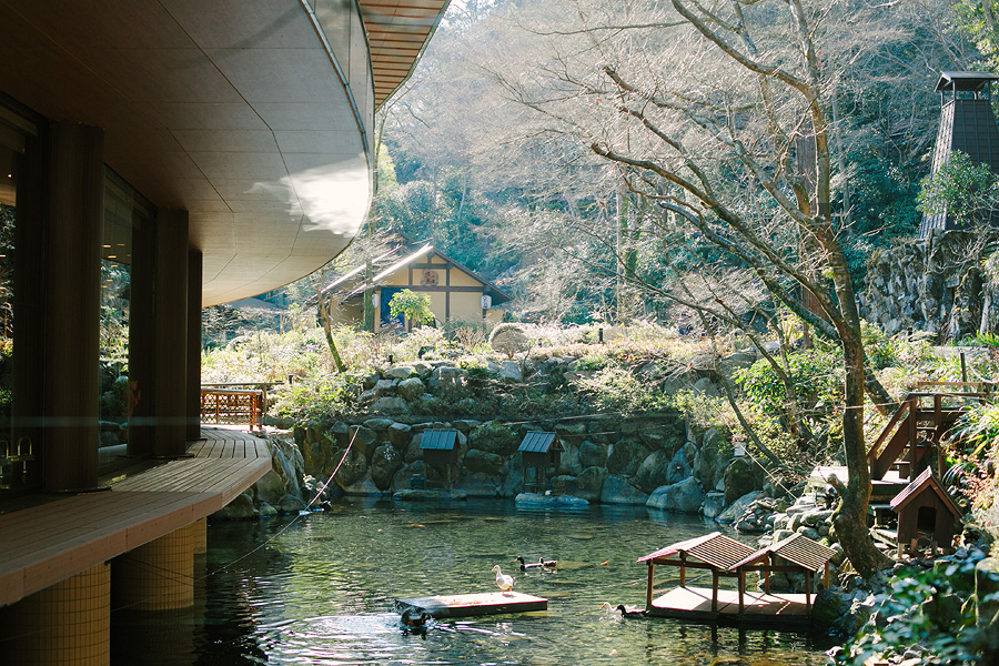 Nature Park in Hakone Nature Park in Hakone