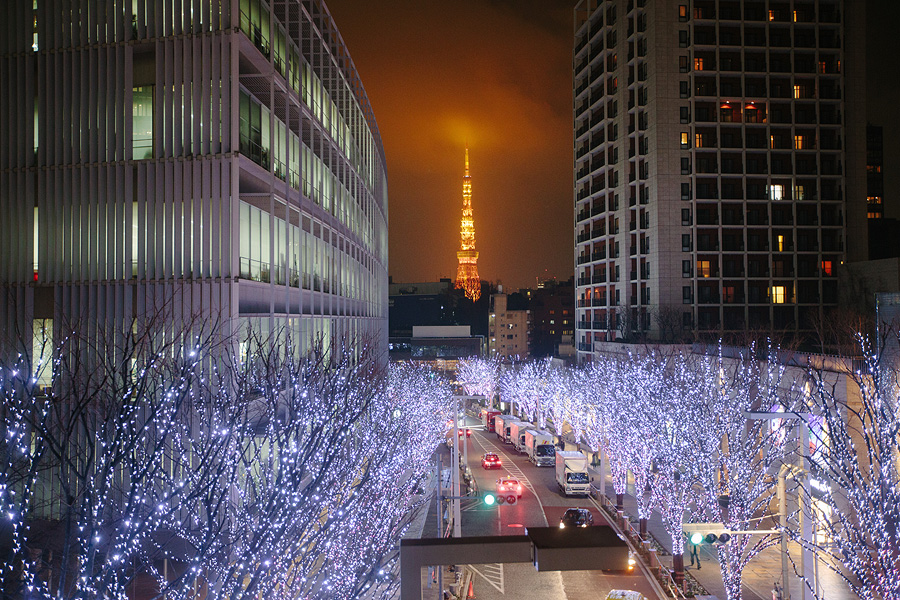 Roppongi Hills Trees at Night Roppongi Hills Trees at Night