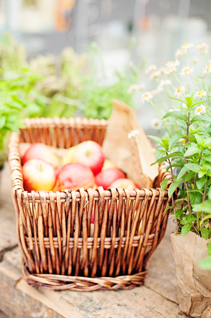 Apple Basket in Poznan Poland