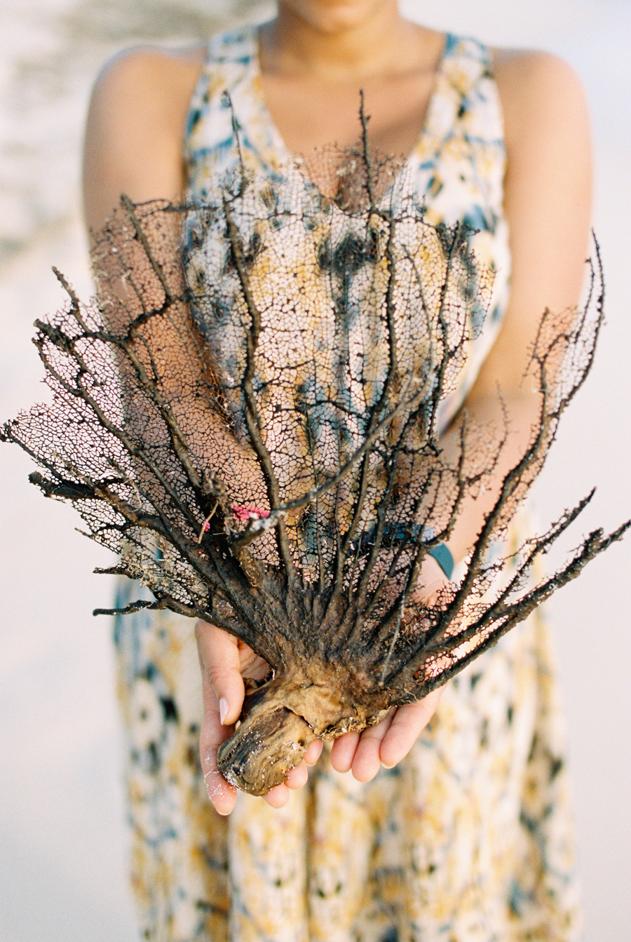 Beach Treasures in the Dominican Republic
