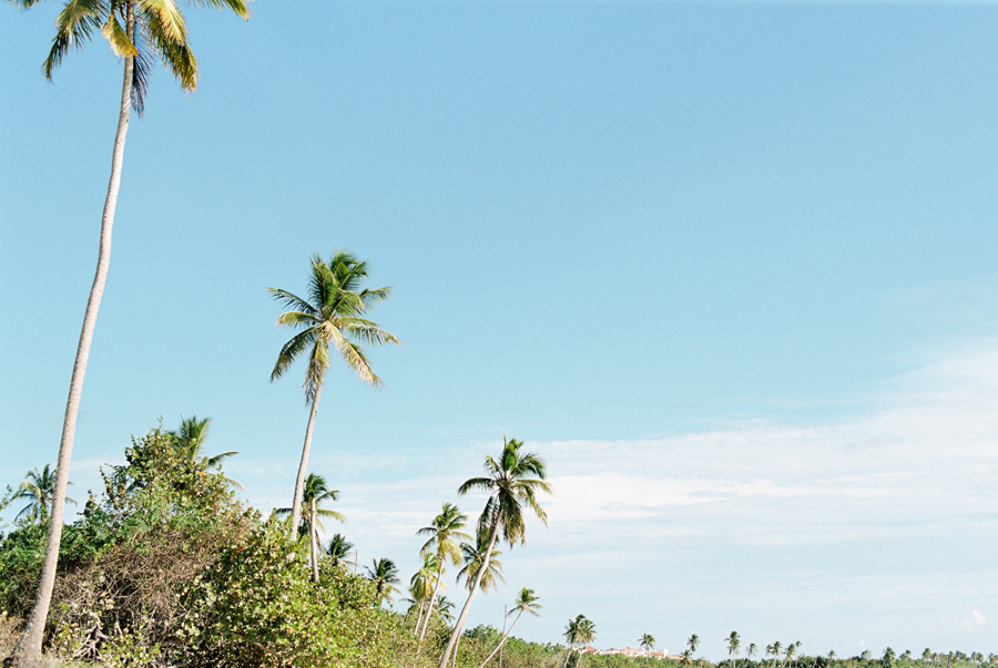 Beach in the Dominican Republic