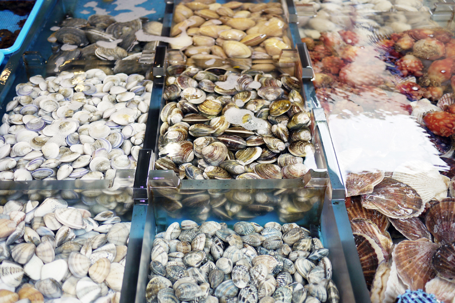Fresh Seafood in Busan Fresh Seafood in Busan