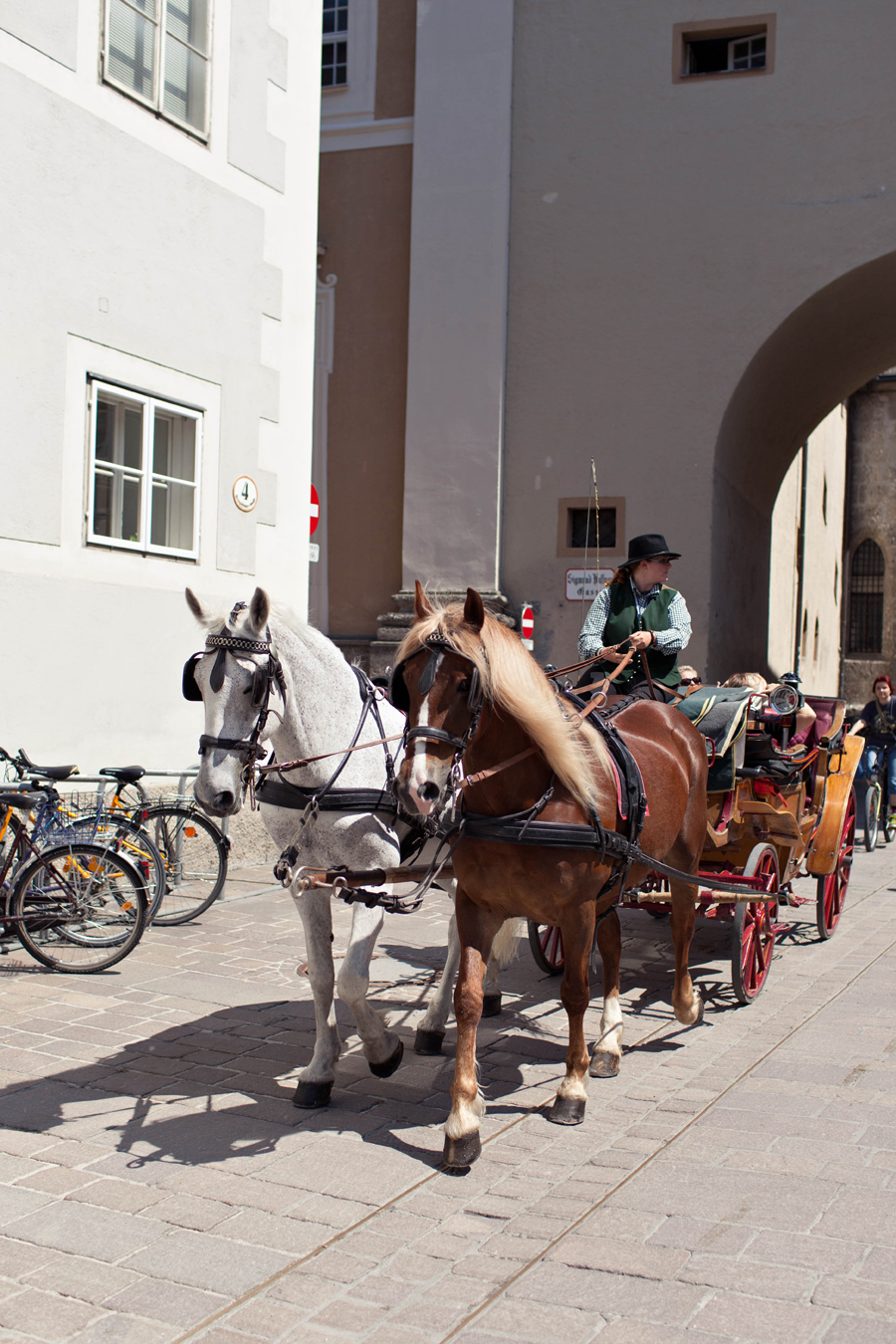 Horse and Carriage in Salzburg