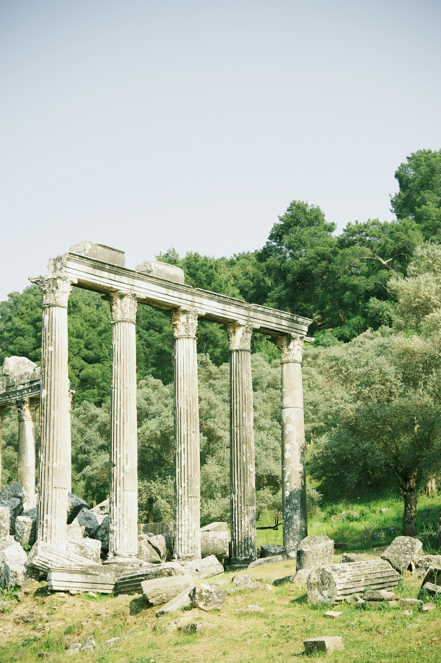 Temple of Zeus Ruins at Euromo