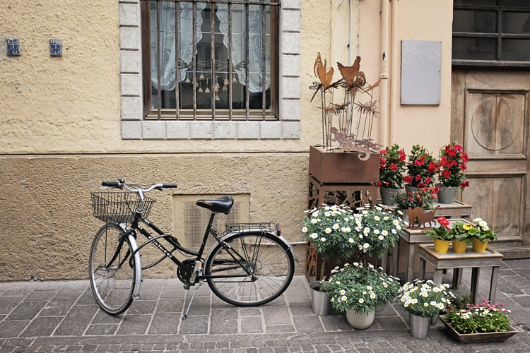 Bicycle and Flower Stand in Bolzano Italy
