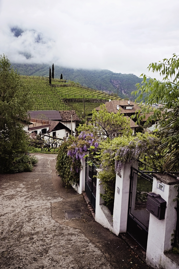 Hillside Homes in Bolzano Italy