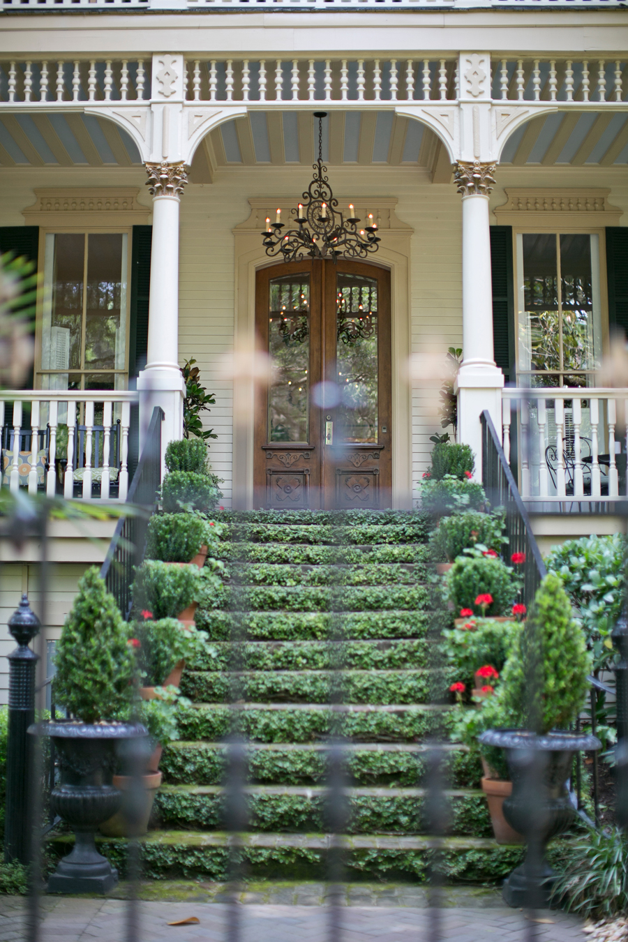 Ivy Steps in Savannah