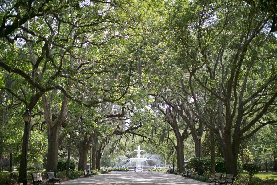 Lush Parks of Savannah