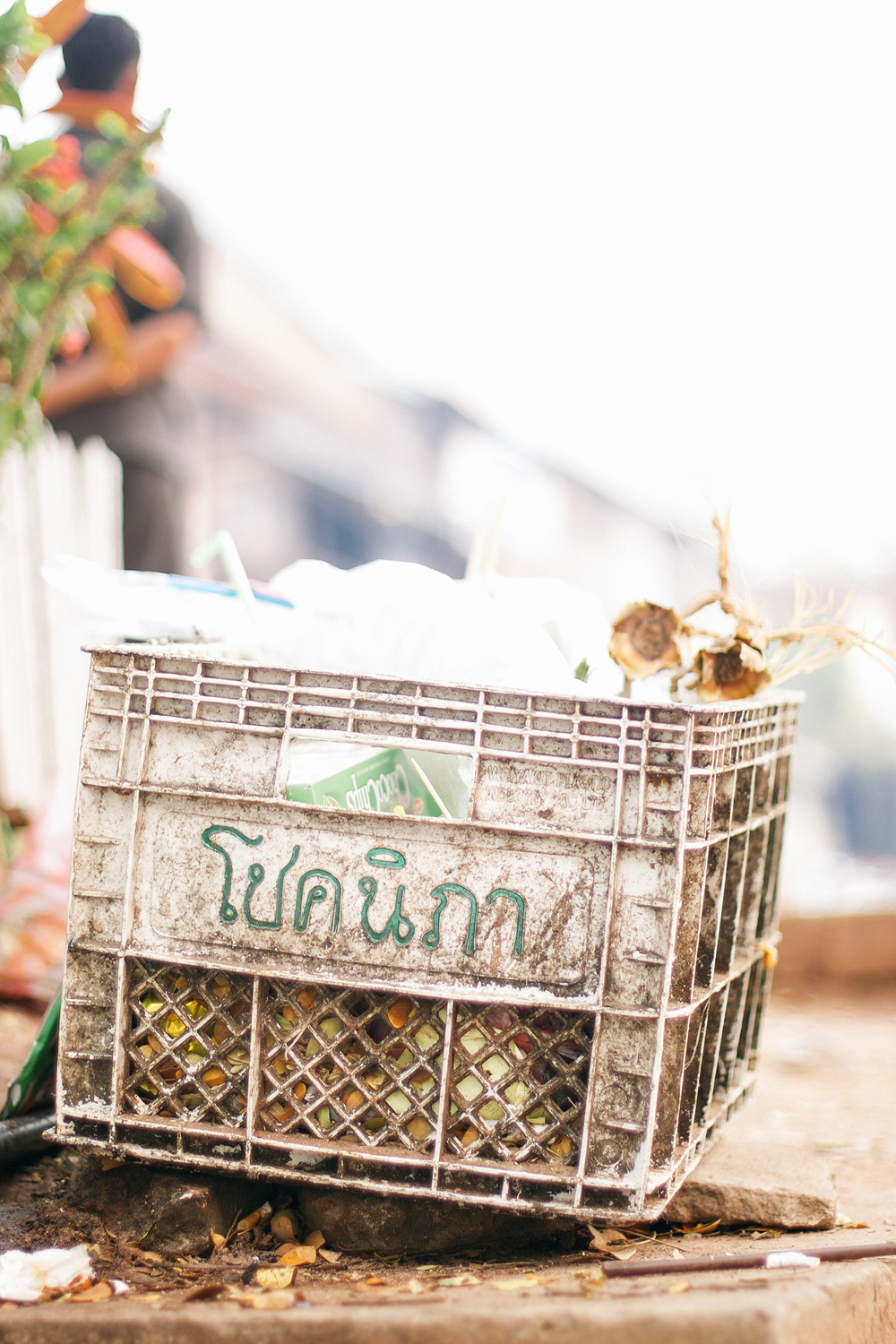 Plastic Crate in Luang Prabang