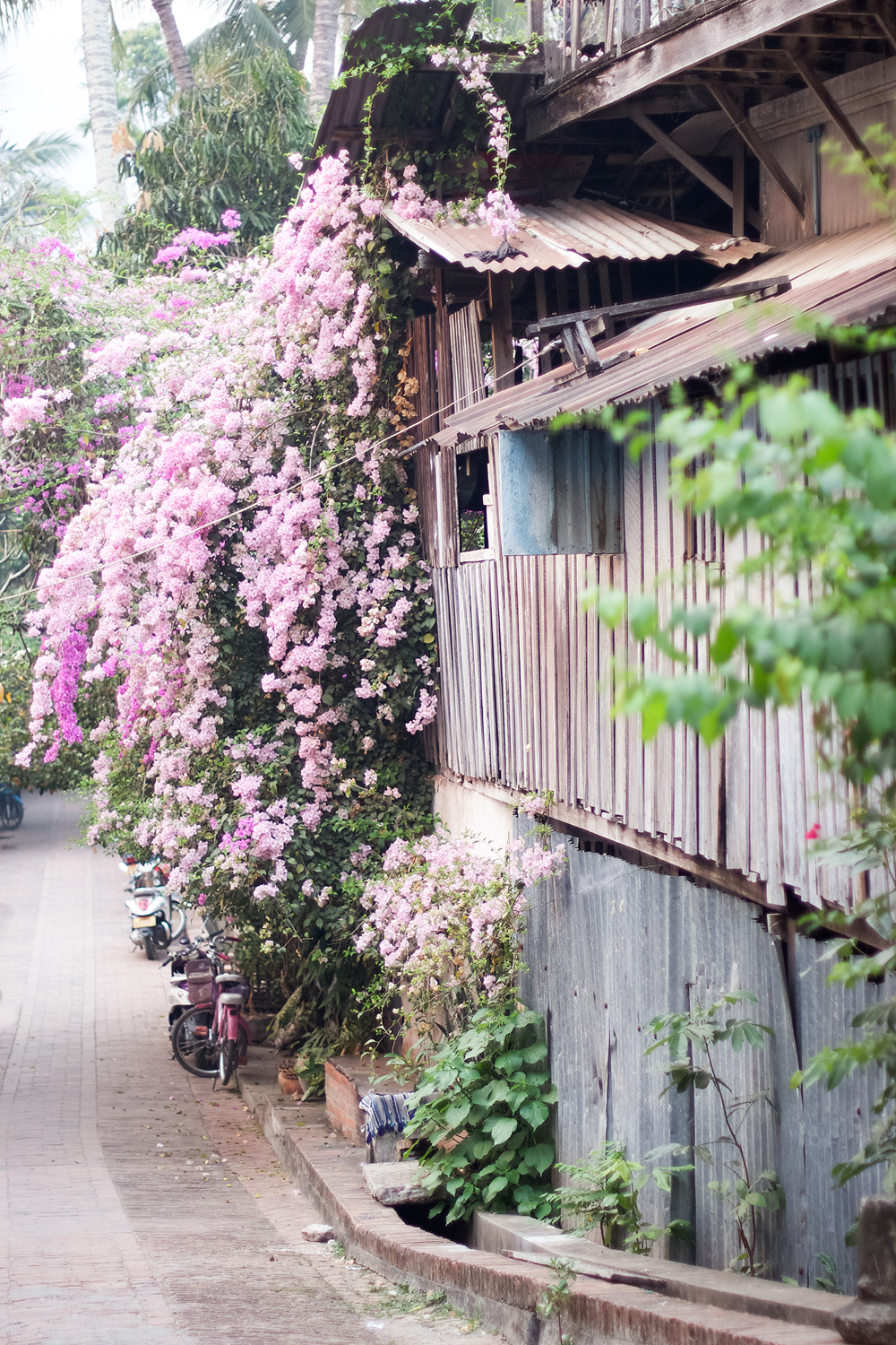 Tin Buildings of Luang Prabang