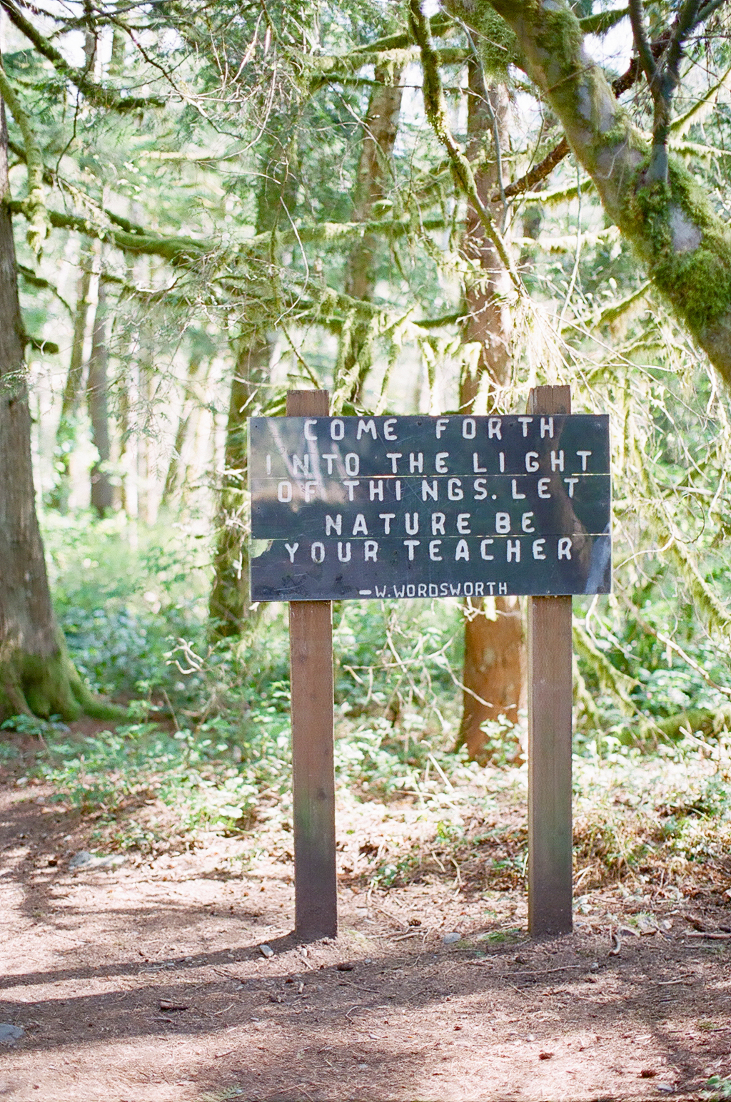 Wordsworth Quote at Wallace Falls Wordsworth Quote at Wallace Falls
