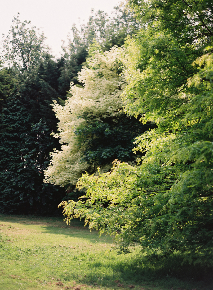 Green Landscape of Magdalen England