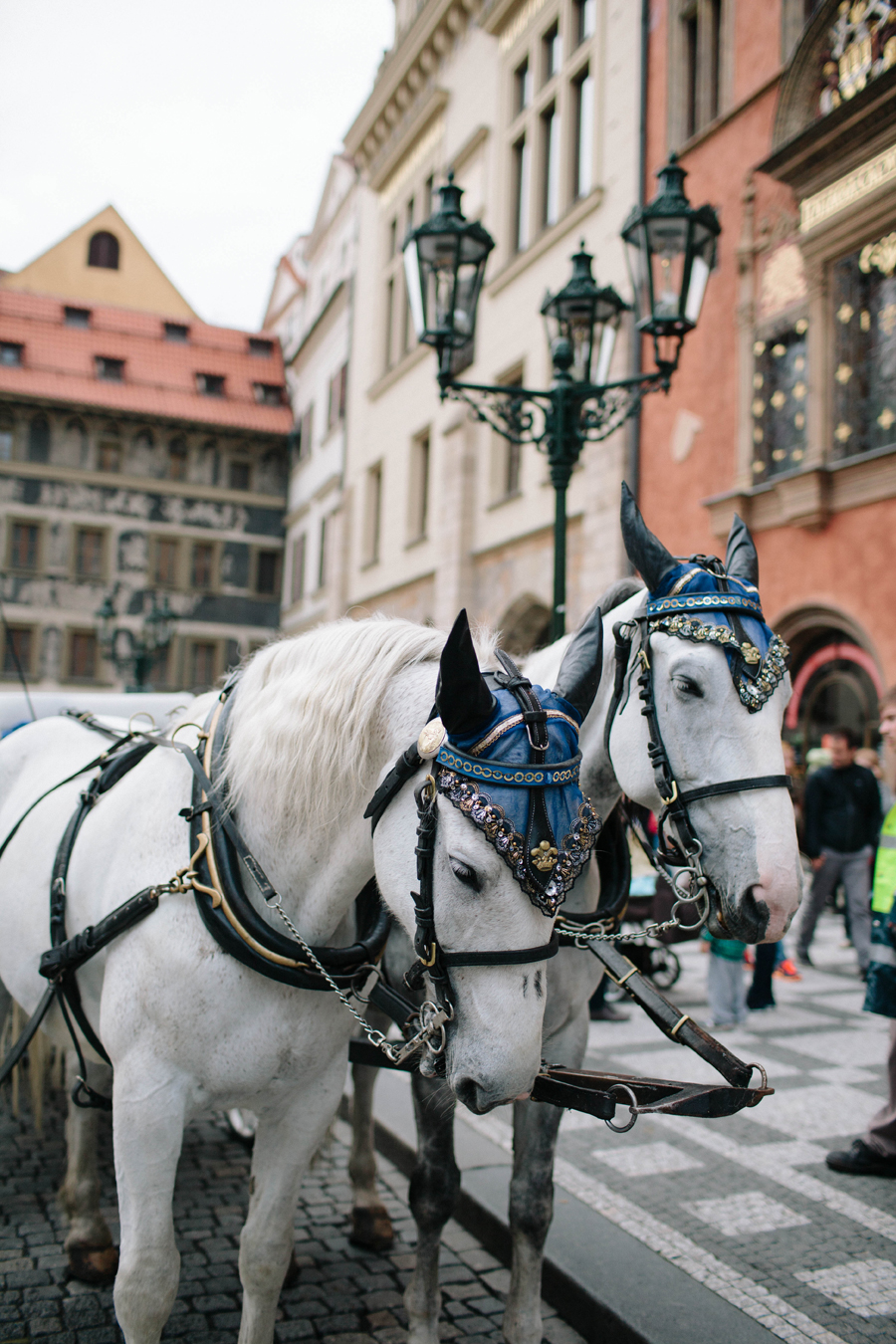 Horse and Carriage Prague