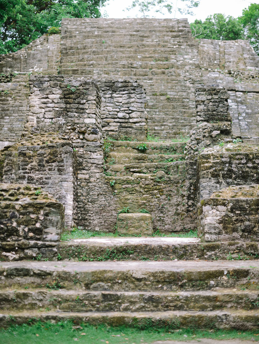 Mossy Steps in Lamanai Belize